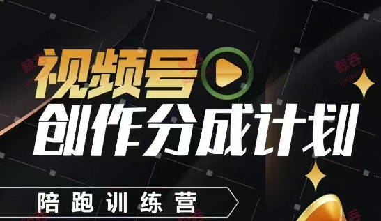 视频号创作分成计划陪跑训练营，手把手教会你如何制作视频，细水长流型项目-阿鬼