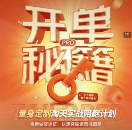 淘宝开单秘籍PRO，量身定制淘天实战陪跑计划，告别做店迷茫、快速突破运营瓶颈期(更新)-阿鬼