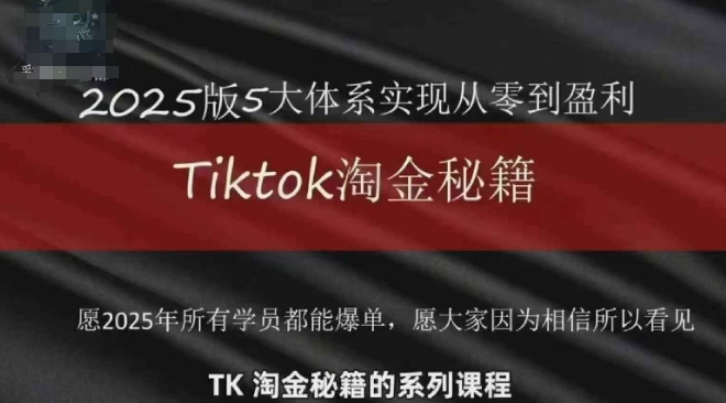 TikTok跨境2025淘金秘籍，?2025TikTok从0到盈利变现-阿鬼