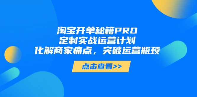 淘宝开单秘籍PRO，定制实战运营计划，化解商家痛点，突破运营瓶颈-阿鬼