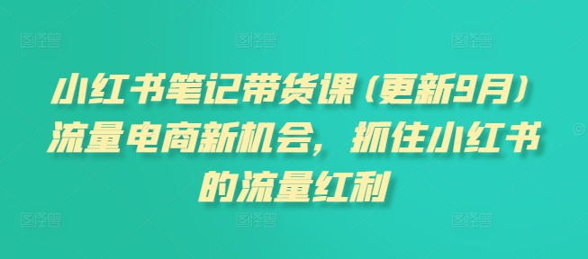 小红书笔记带货课(更新25年4月)流量电商新机会，抓住小红书的流量红利-阿鬼