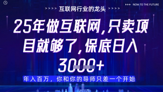 什么！25年你还在找项目做？风口早就变了，卖项目才是稳挣不赔【揭秘】-阿鬼