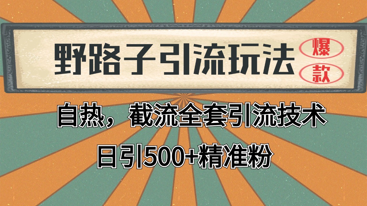 2024首发野路子引流玩法截流自热全平台打法，全自动引流【日引2000+精准客户】-阿鬼