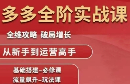 拼多多全阶实战课程，全维攻略，破局增长，从新手到运营高手-阿鬼