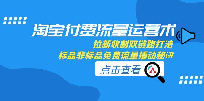 淘宝付费流量运营术，拉新收割双链路打法，标品非标品免费流量撬动秘诀-阿鬼