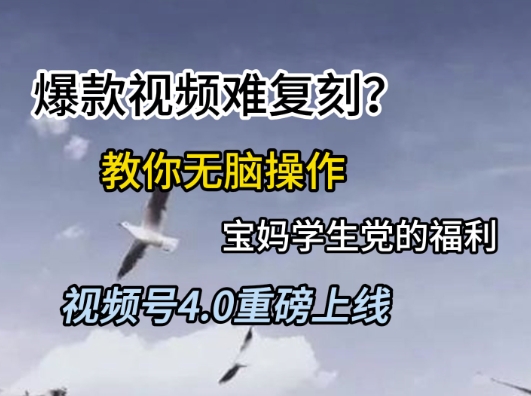视频号4.0重磅上线，爆款视频难复刻？教你无脑操作宝妈学生党的福利【揭秘】-阿鬼