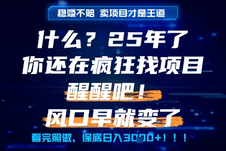 什么？25年你还在疯狂找项目做，醒醒吧，看完这些你全都懂了！【揭秘】-阿鬼
