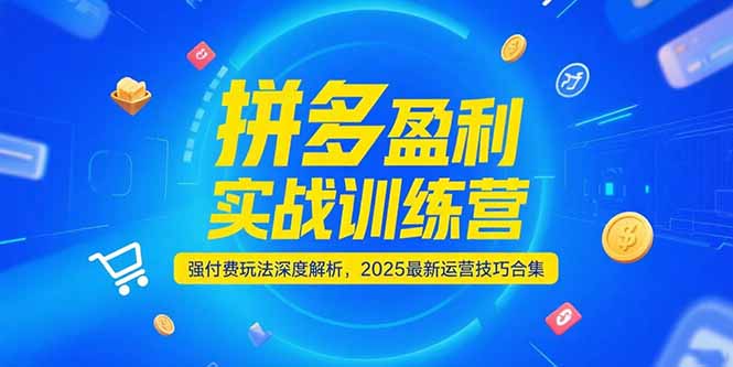 拼多多盈利实战训练营，强付费玩法深度解析，2025运营技巧合集-更新6月-阿鬼