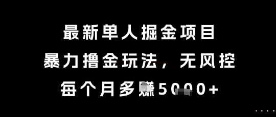 最新单人掘金项目，暴力撸金玩法，无风控，每个月多挣5k+【揭秘】-阿鬼