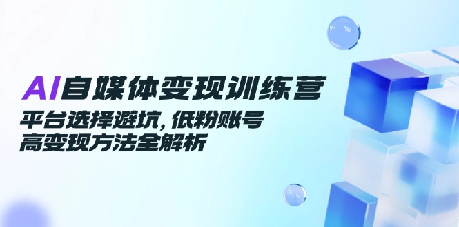 AI自媒体变现训练营，平台选择避坑，低粉账号高变现方法全解析-阿鬼