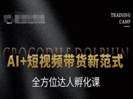 AI+短视频带货新范式，全方位达人孵化课-阿鬼