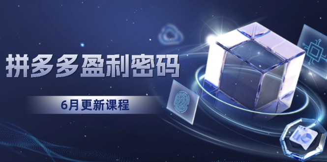 拼多多盈利密码：从烧钱推广到印钞模型，底层逻辑重构指南(6月更新-阿鬼
