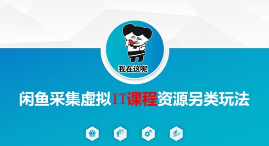 闲鱼采集虚拟IT课程资源另类玩法，干货满满-阿鬼