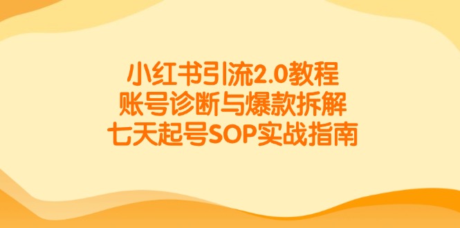 小红书引流2.0教程，账号诊断与爆款拆解，七天起号SOP实战指南-阿鬼