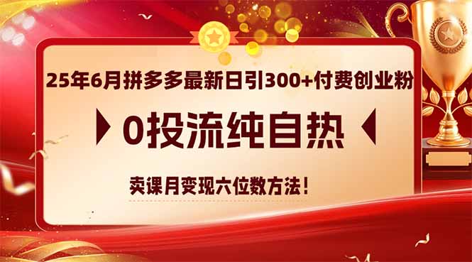 25年6月拼多多最新日引300+付费创业粉，0投流纯自热 卖课月变现六位数方法-阿鬼
