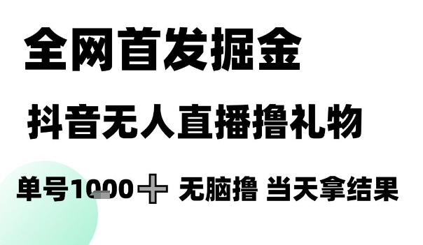 全网首发掘金抖音无人直播撸礼物，单号1k +无脑撸，当天拿结果【揭秘】-阿鬼
