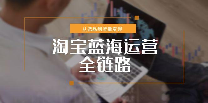 淘宝蓝海运营全链路，从选品到流量变现，小类目突围完整方案-阿鬼