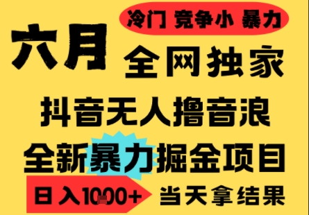 25年6月高爆抖音无人直播最新撸音浪掘金项目，小白可做，无脑日入1k+，门槛低可批量矩阵【揭秘】-阿鬼