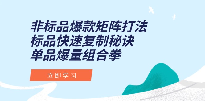 非标品爆款矩阵打法，标品快速复制秘诀，单品爆量组合拳-阿鬼