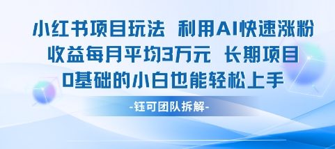 适合小白操作的小红书新项目，利用AI快速涨粉，收益每月平均1W+-阿鬼