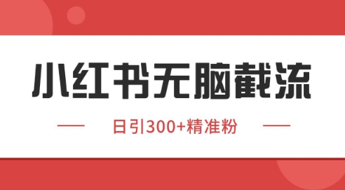 小红书截流同行客源，独家野路子获客玩法 日引200+暴力获客【揭秘】-阿鬼