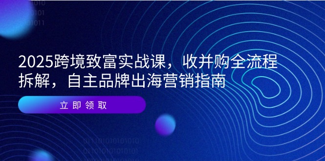 2025跨境致富实战课，收并购全流程拆解，自主品牌出海营销指南-阿鬼