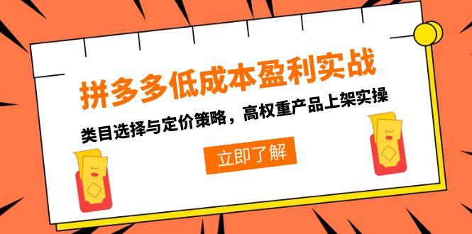 拼多多低成本盈利实战，类目选择与定价策略，高权重产品上架实操-阿鬼