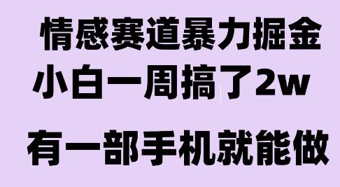 情感暴力掘金项目，新人操作一周挣了2W，长期稳定小白可做【揭秘】-阿鬼