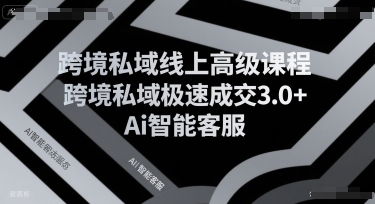 跨境私域线上高级课程，跨境私域极速成交3.0+Ai智能客服-阿鬼