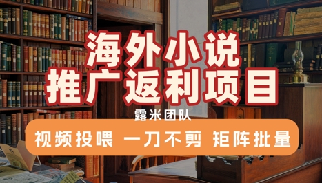 海外小说推广返利项目，视频投喂， 一刀不剪，矩阵批量-阿鬼