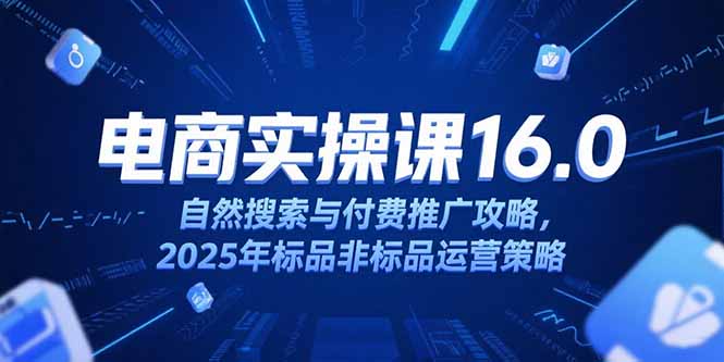 淘宝电商运营课16.0，自然搜索与付费推广攻略，2025年标品非标品运营策略-阿鬼