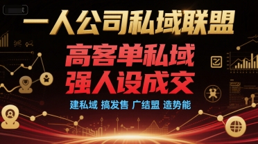 一人公司私域联盟，高客单私域，强人设成交，建私域 搞发售 广结盟 造势能-阿鬼