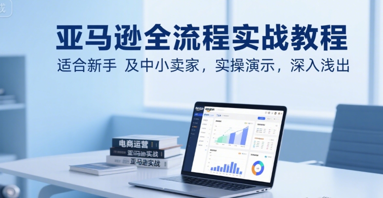 亚马逊全流程实战教程，适合新手及中小卖家，实操演示，深入浅出-阿鬼