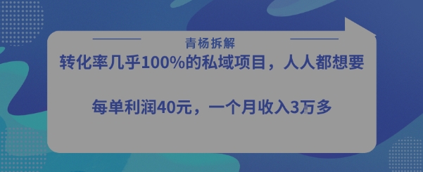 转化率最高的私域项目，每单利润40-50米，月入过1w-阿鬼