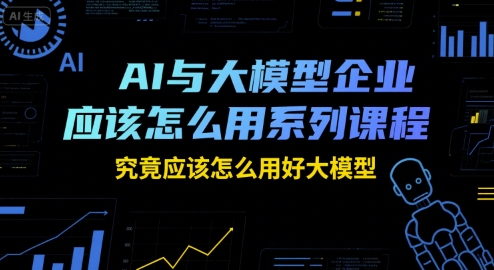 AI与大模型企业应该怎么用系列课程，究竟应该怎么用好大模型-阿鬼