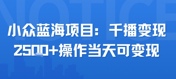 小众蓝海项目，千播变现2.5k+操作当天可变现-阿鬼