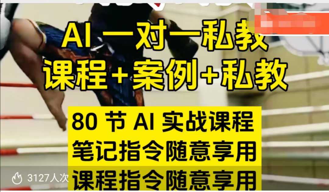 AI指令实战课，课程+案例，80节AI实战课程，笔记指令随意享用，课程指令随意享用(更新7月)-阿鬼