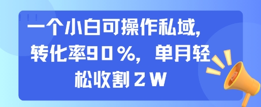 一个小白可操作私域，转化率90%，单月轻松收割2W-阿鬼