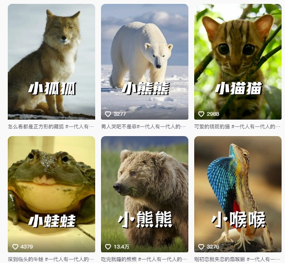 最新搞笑动物百科详细解说课程,蓝海赛道,流量非常大,轻松签独家进精选插图1 最新搞笑动物百科详细解说课程,蓝海赛道,流量非常大,轻松签独家进精选插图1