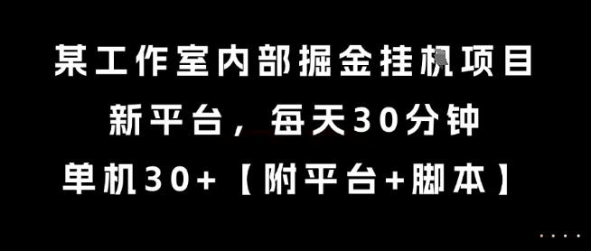 某工作室内部掘金挂G项目，新平台，每天30分钟，单机30+【揭秘】-阿鬼