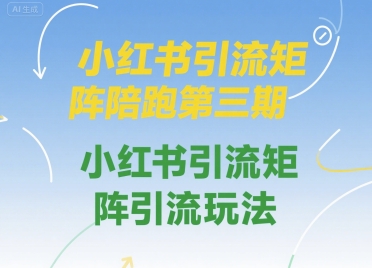 小红书引流矩阵陪跑第三期，小红书引流矩阵引流玩法-阿鬼