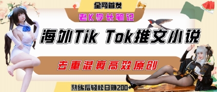 海外tiktok小说推文暴力项目，高停留率，高转化率，上手后一天搞顿饭钱不是问题-阿鬼