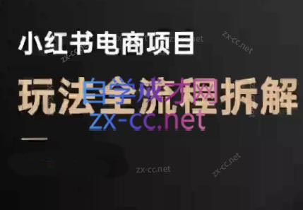 菲菲老师·小红书电商玩法(更新7月)-阿鬼