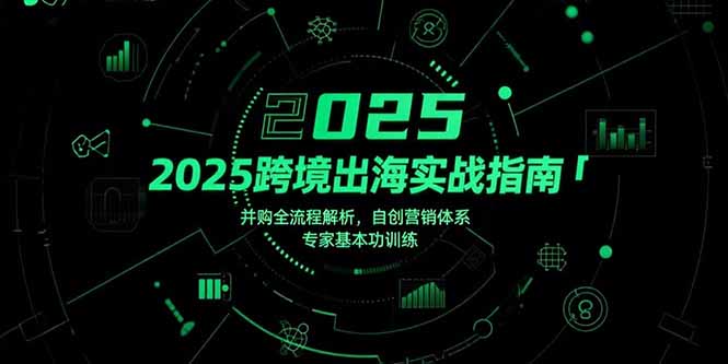 2025跨境出海实战指南，并购全流程解析，自创营销体系，专家基本功训练-阿鬼