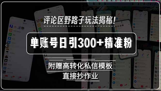评论区野路子玩法揭秘！单账号日引300+精准粉，附赠高转化私信模板，直…-阿鬼