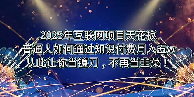 2025年互联网项目天花板，普通人如何通过卖项目实现逆风翻盘，月入5W＋！-阿鬼