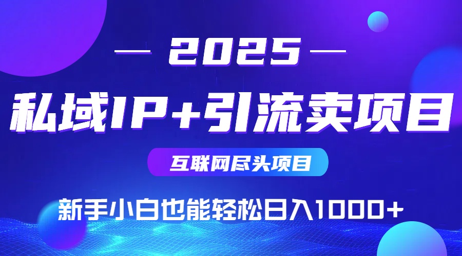 2025网创尽头项目，私域IP+引流，新手小白也能在家日入1000+-阿鬼