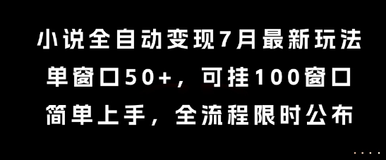 小说全自动变现7月玩法，单窗口50+，可挂100窗口，简单上手，全流程限时公布【揭秘】-阿鬼